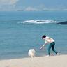 《妻子的浪漫旅行》回应孙杨妈妈风波